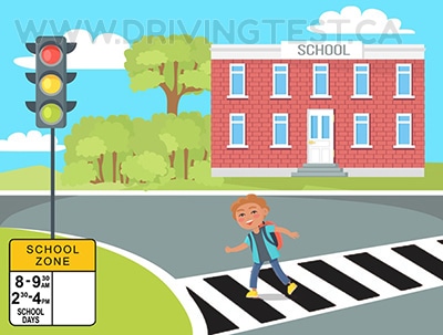 Test 3 - Pour qui, à part les enfants, êtes-vous légalement obligé de vous arrêter aux passages piétons des écoles ?